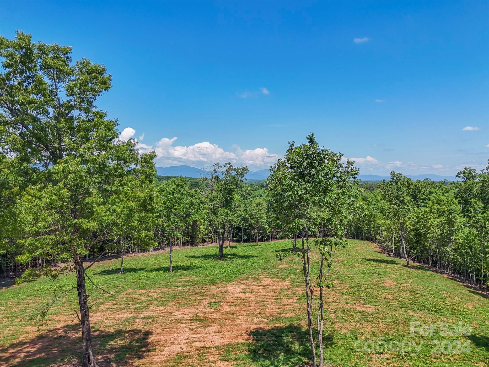 0 Prospect Point Drive Tryon, NC 28782 - Photo 7 of 27