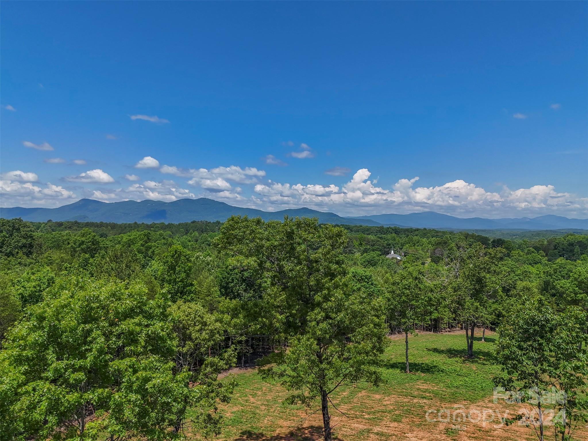 0 Prospect Point Drive Tryon, NC 28782 - Photo 8 of 27 a front view of a house with a yard