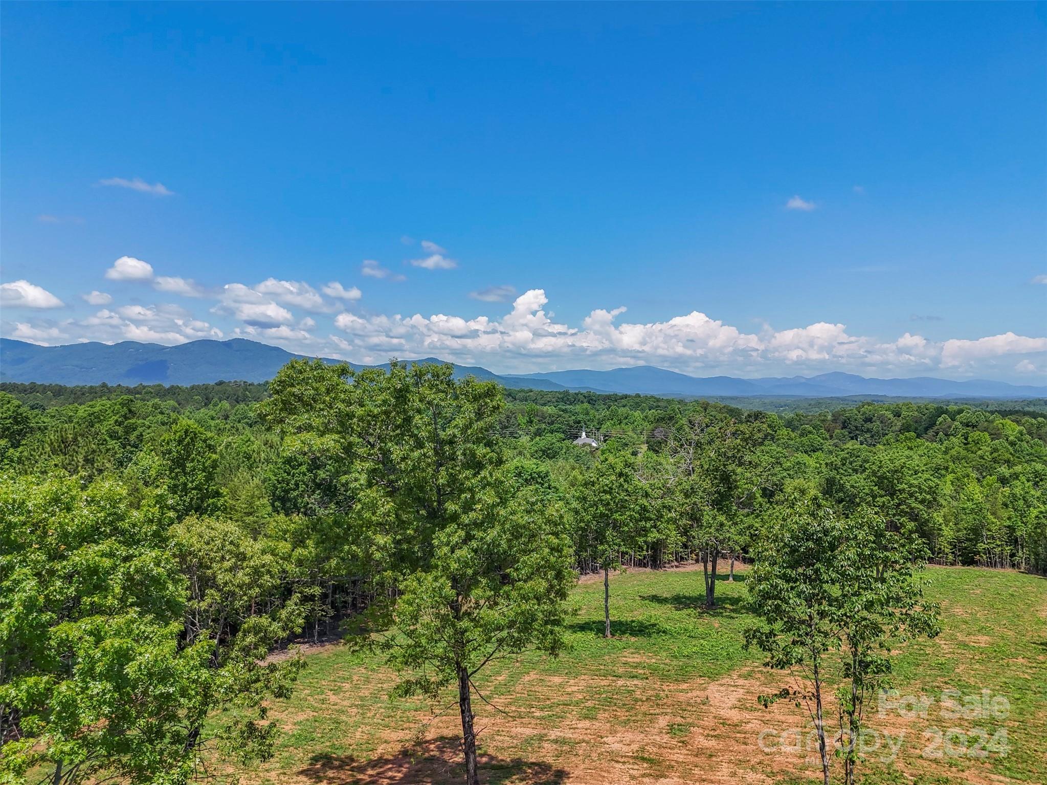 0 Prospect Point Drive Tryon, NC 28782 - Photo 10 of 27 a front view of a house with a yard