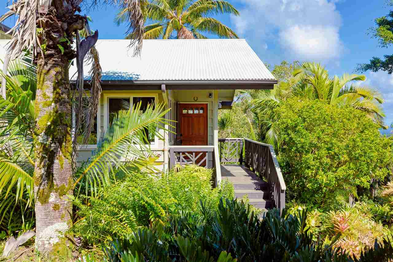 245 North Honokala Road Haiku, HI 96708 - Photo 12 of 17 a view of a garden with plants and large trees