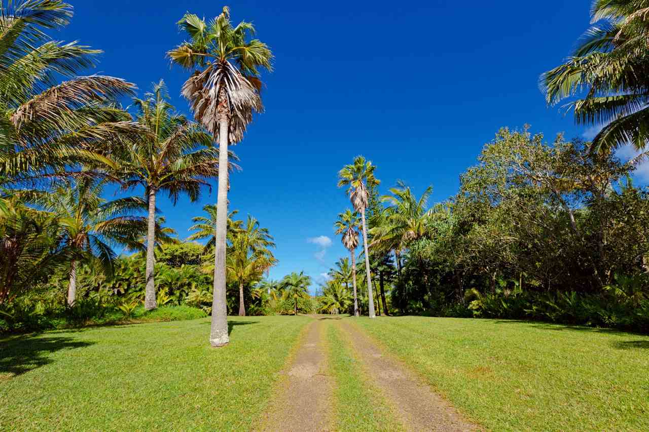 245 North Honokala Road Haiku, HI 96708 - Photo 15 of 17 a view of a yard