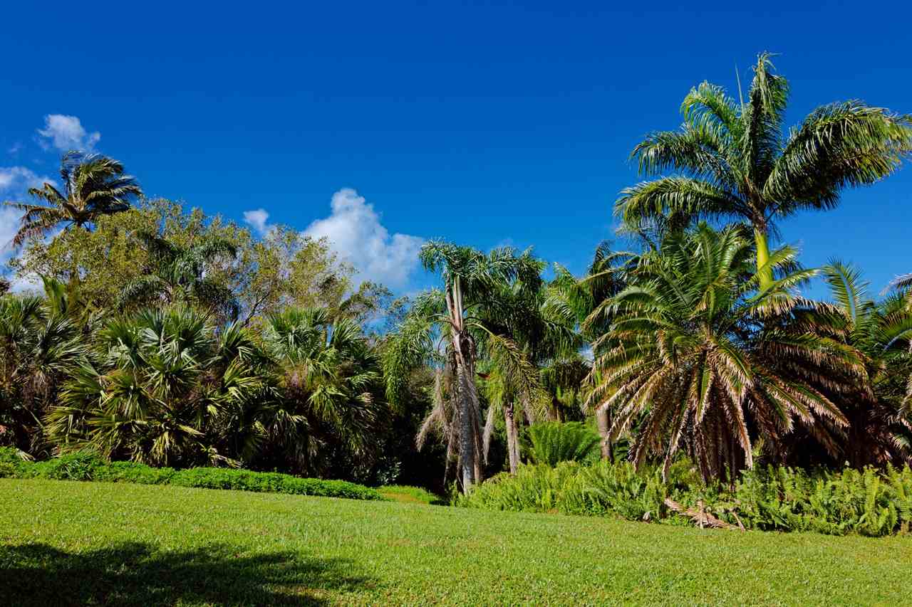 245 North Honokala Road Haiku, HI 96708 - Photo 16 of 17 a view of a garden