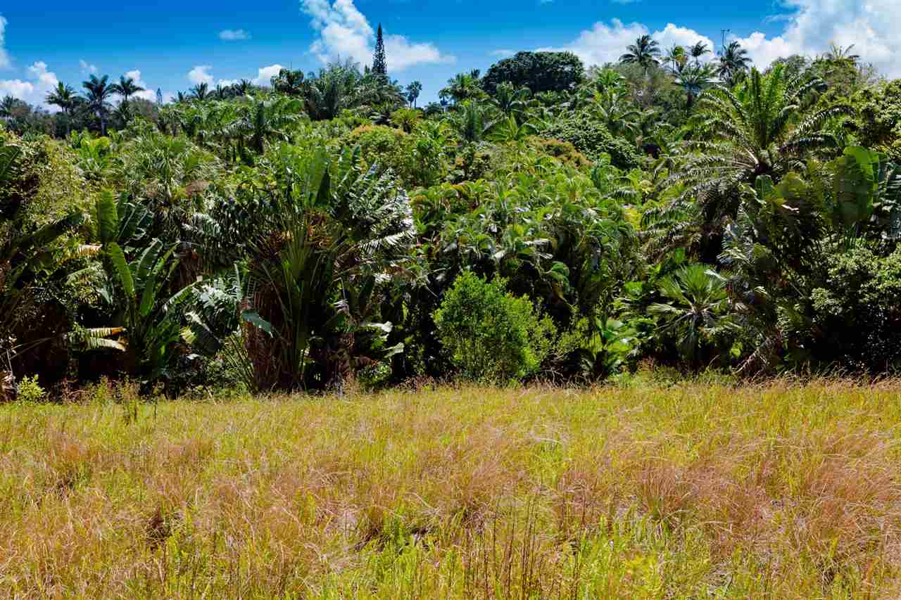 245 North Honokala Road Haiku, HI 96708 - Photo 17 of 17