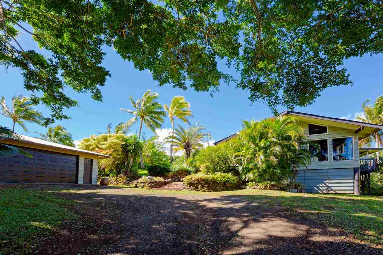 245 North Honokala Road Haiku, HI 96708 - Photo 9 of 17 a view of a yard with plants and a large tree