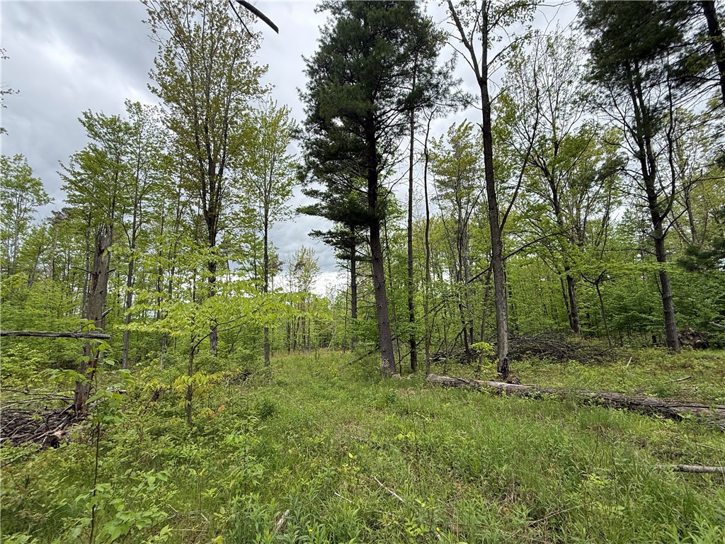 Hawley Road Bradford, NY 14815 - Photo 6 of 42