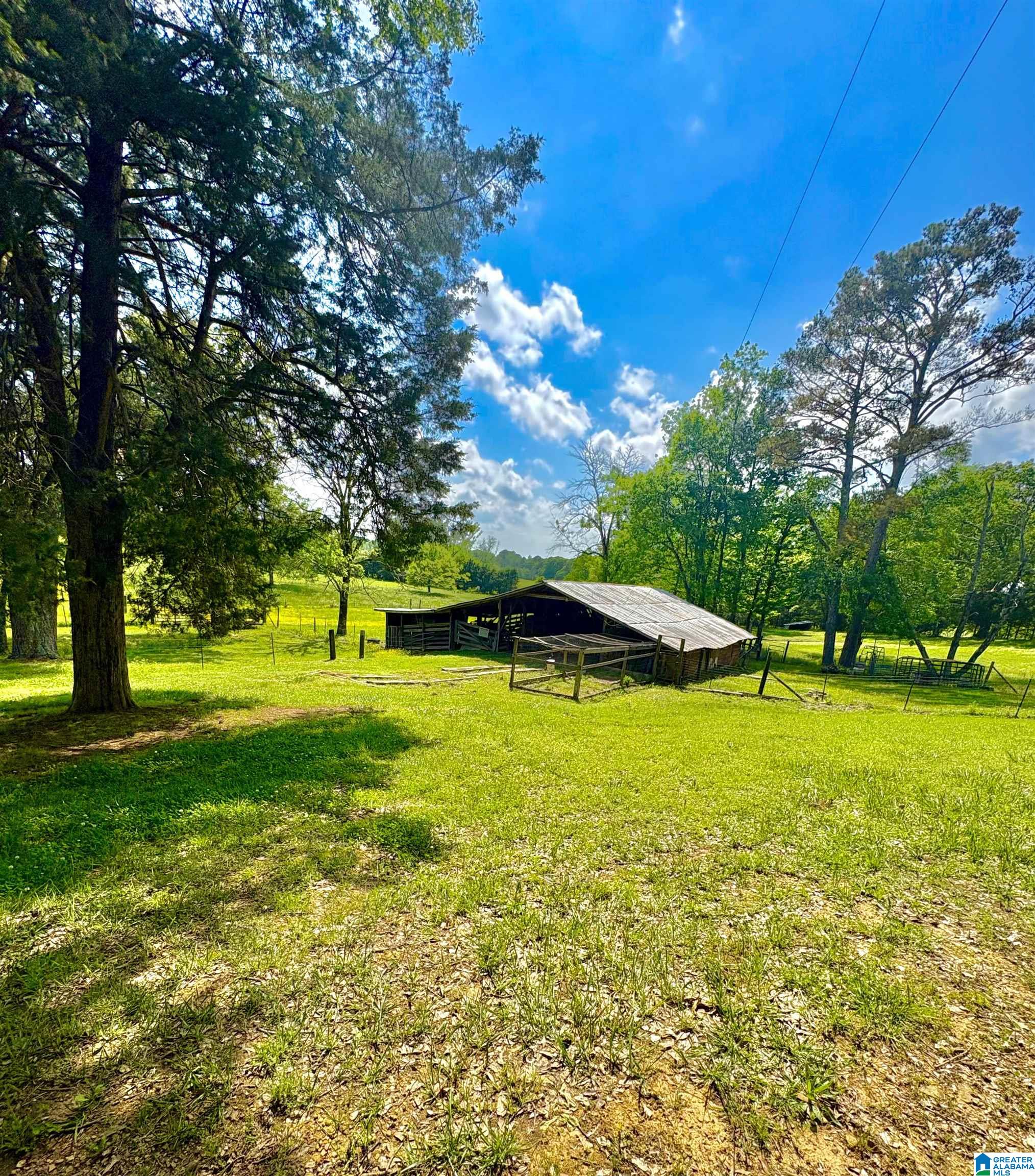1372 Highway 33 Oneonta Al Oneonta, AL 35121 - Photo 10 of 27