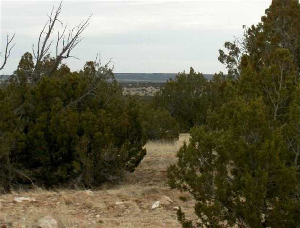18 Northwest T14n R17e:beg Corner Heber, AZ 85928 - Photo 1 of 5