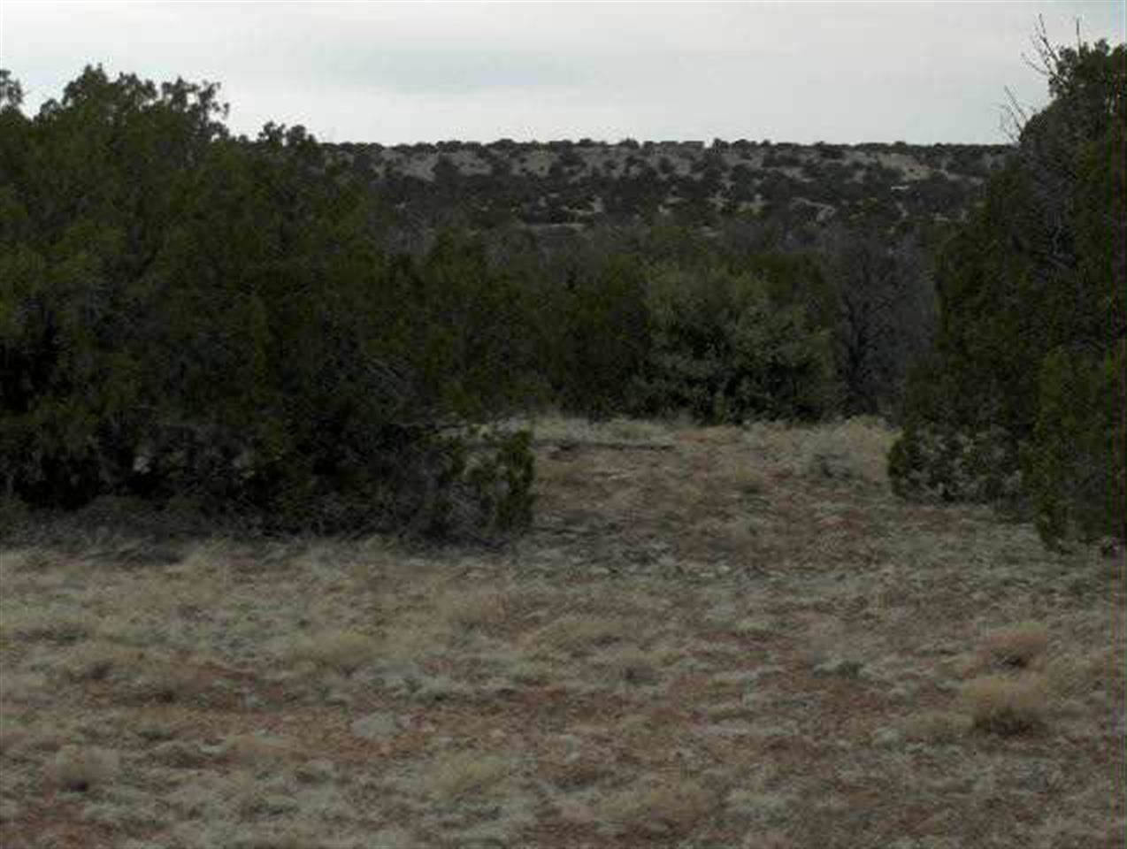 18 Northwest T14n R17e:beg Corner Heber, AZ 85928 - Photo 2 of 5