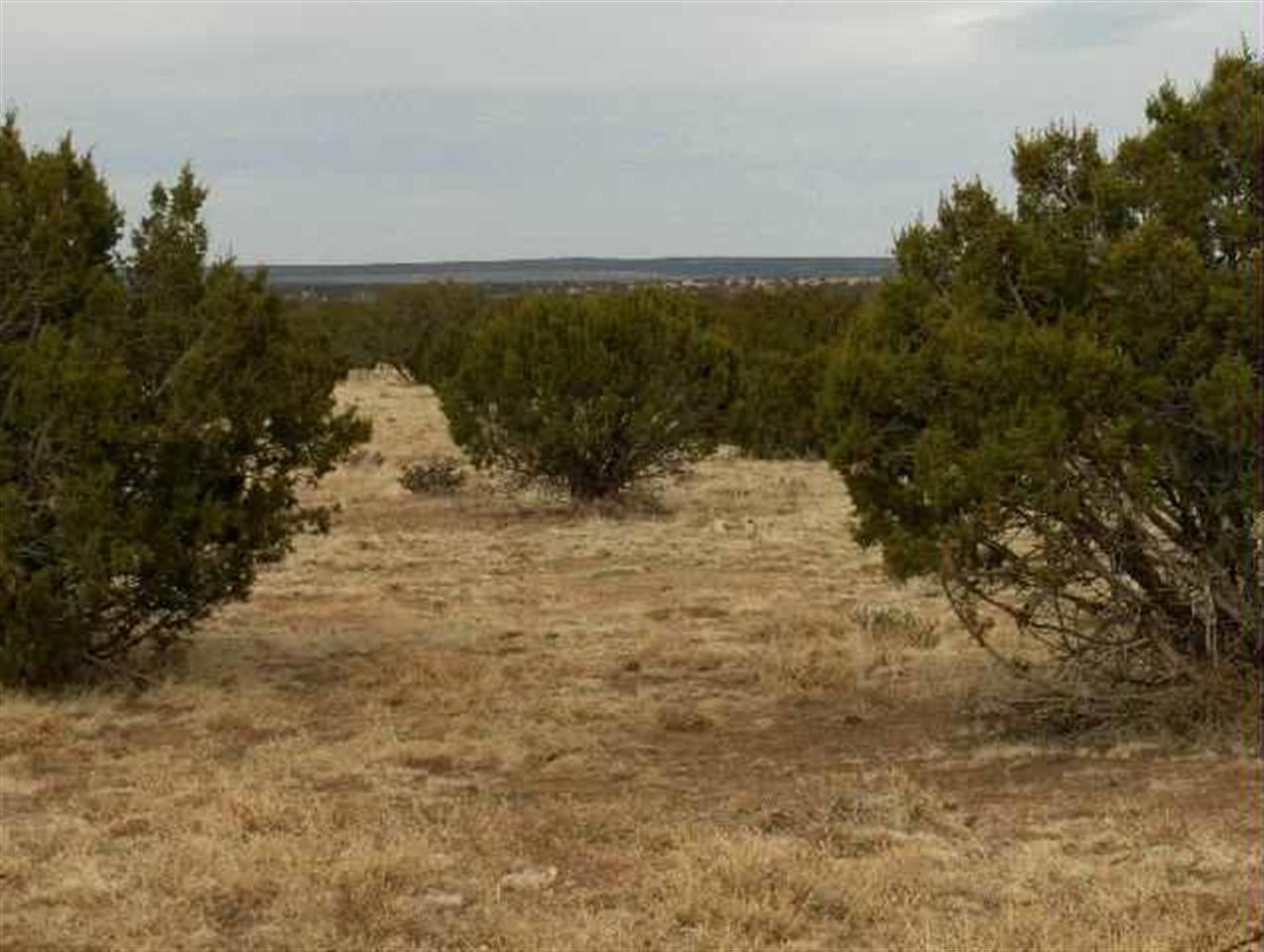 18 Northwest T14n R17e:beg Corner Heber, AZ 85928 - Photo 3 of 5