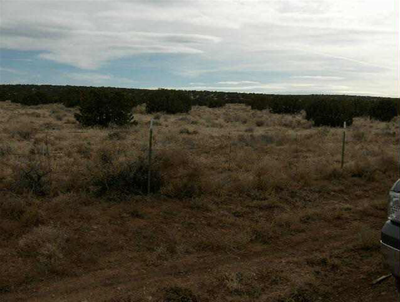 18 Northwest T14n R17e:beg Corner Heber, AZ 85928 - Photo 4 of 5