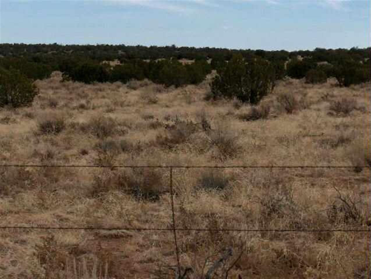 18 Northwest T14n R17e:beg Corner Heber, AZ 85928 - Photo 5 of 5