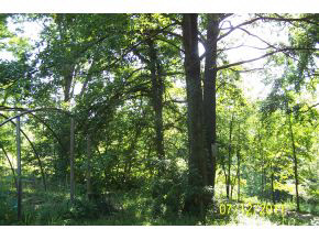 3823 East Boltinghouse Road Bloomington, IN 47408 - Photo 12 of 13