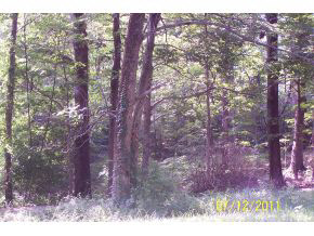 3823 East Boltinghouse Road Bloomington, IN 47408 - Photo 13 of 13