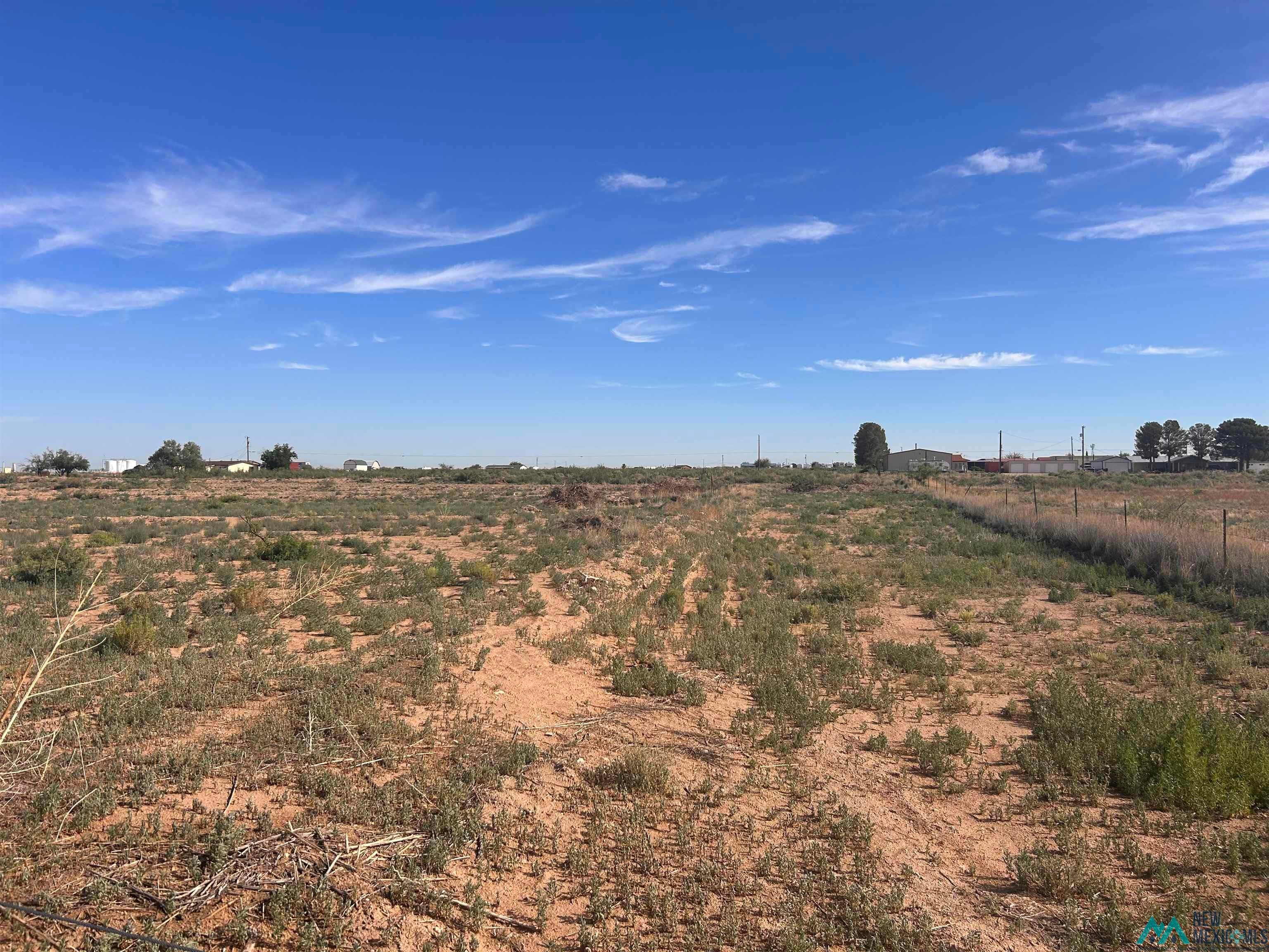 356 Brantley Road Carlsbad, NM 88220 - Photo 3 of 5 Gallery Image 3