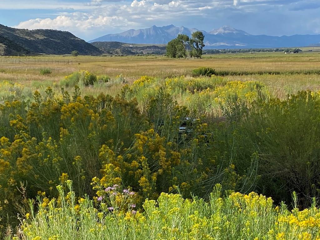 10340 County Road Sanford, CO 81151 - Photo 2 of 11