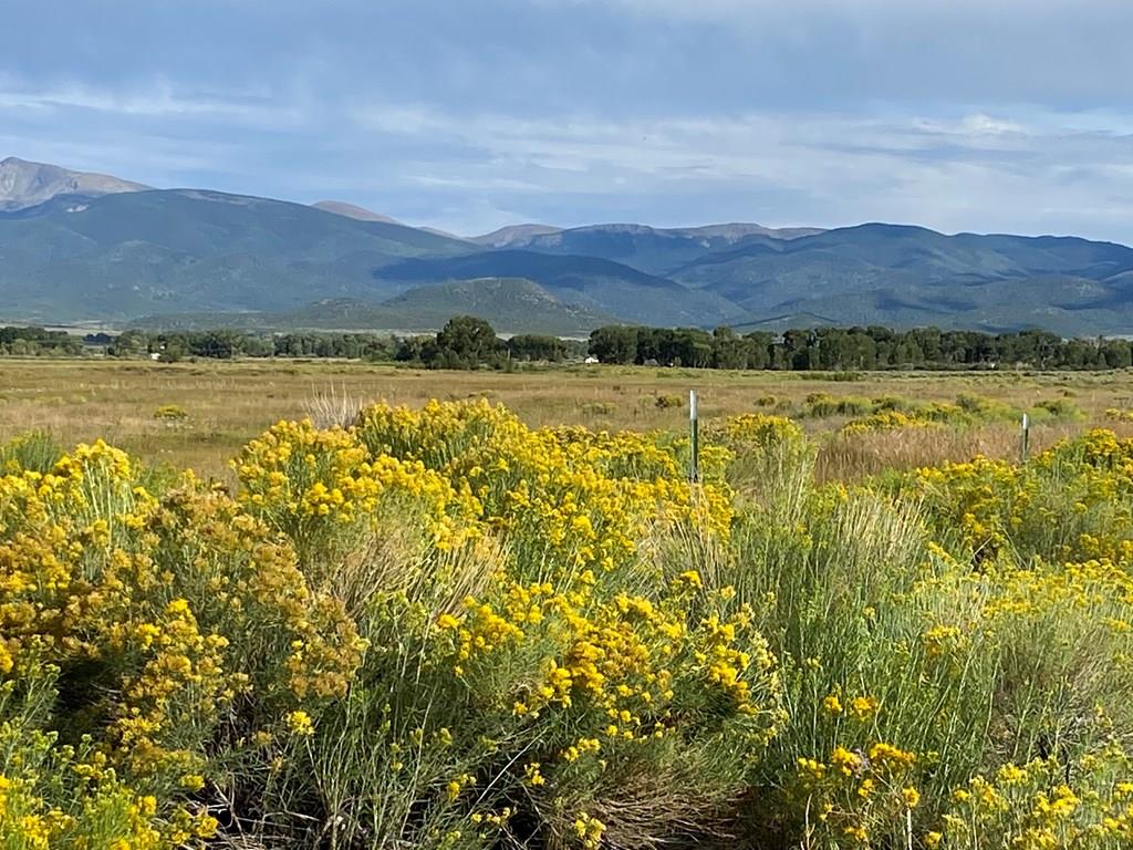 10340 County Road Sanford, CO 81151 - Photo 7 of 11