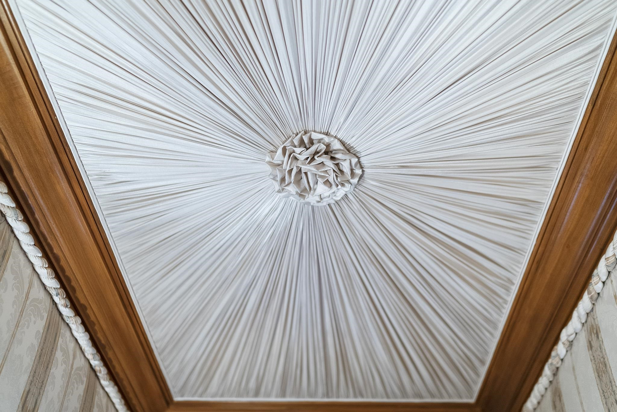 204 Carpathian Way Raleigh, NC 27615 - Photo 31 of 83 Upholstered Half Bath Ceiling