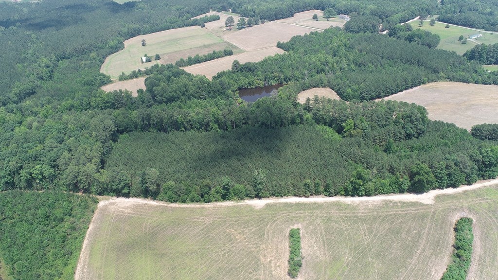Reedy Branch Road Kenbridge, VA 23944 - Photo 18 of 19 Gallery Image 18