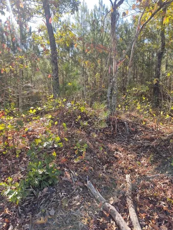 $125,000 | 0 Joe Robertson Road, Rocky Face, GA 30740
