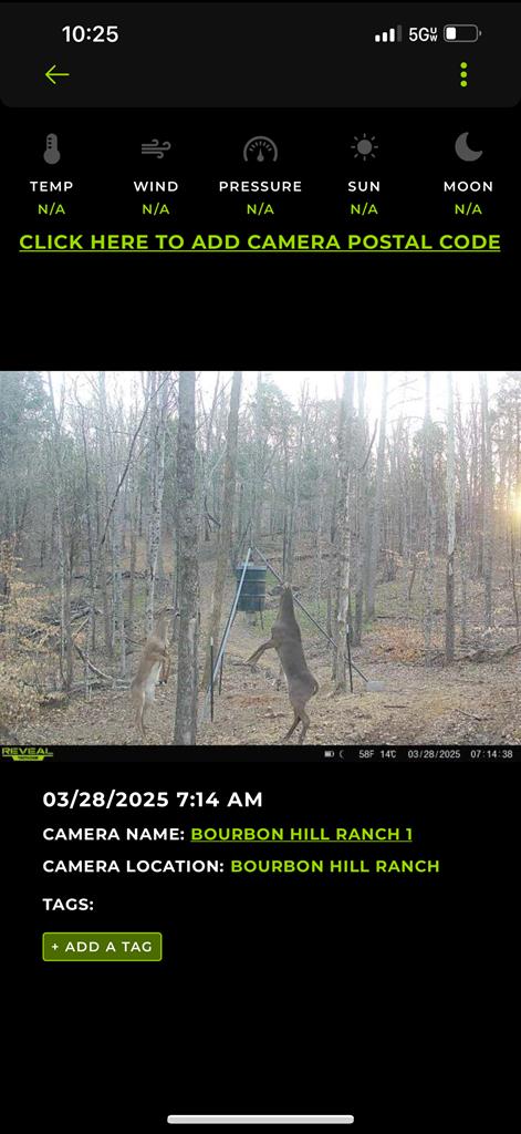 0 Brinkley Store Road Crofton, KY 42217 - Photo 16 of 18 Gallery Image 16