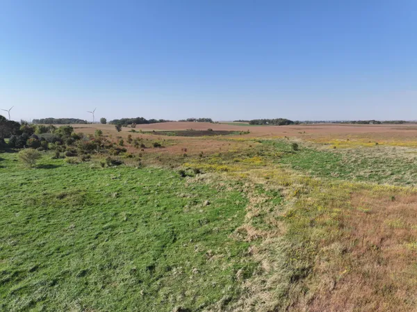 $260,000 | Tbd Tbd 44th Avenue Southeast, Blooming Prairie, MN 55917