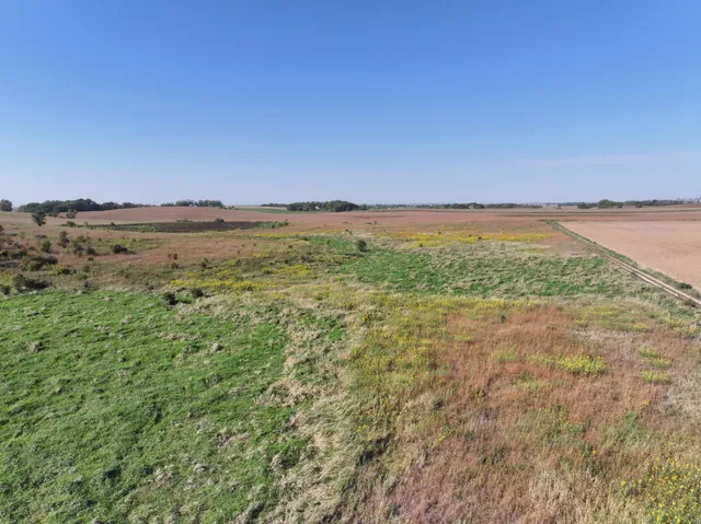 $260,000 | Tbd Tbd 44th Avenue Southeast, Blooming Prairie, MN 55917