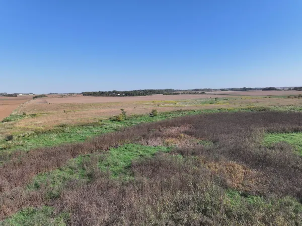 $260,000 | Tbd Tbd 44th Avenue Southeast, Blooming Prairie, MN 55917