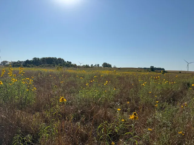 $260,000 | Tbd Tbd 44th Avenue Southeast, Blooming Prairie, MN 55917