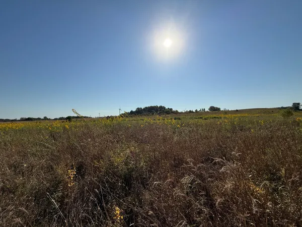 $260,000 | Tbd Tbd 44th Avenue Southeast, Blooming Prairie, MN 55917