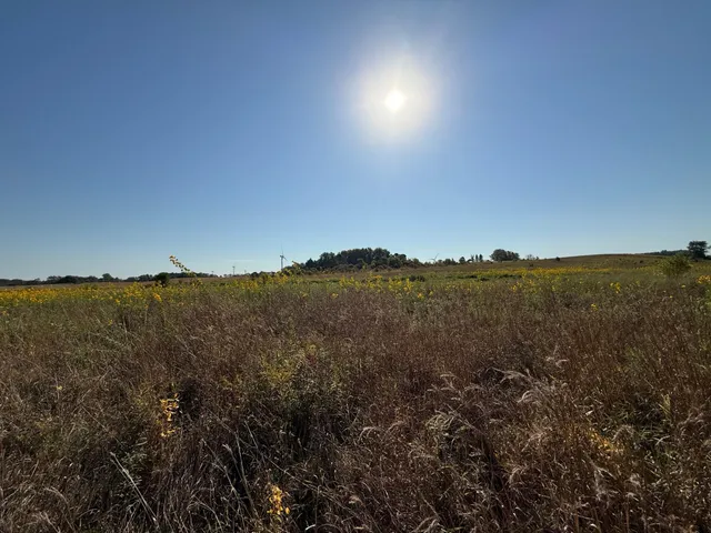 $260,000 | Tbd Tbd 44th Avenue Southeast, Blooming Prairie, MN 55917