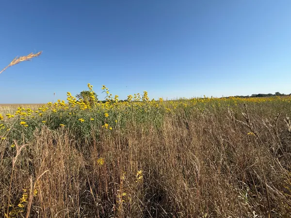 $260,000 | Tbd Tbd 44th Avenue Southeast, Blooming Prairie, MN 55917