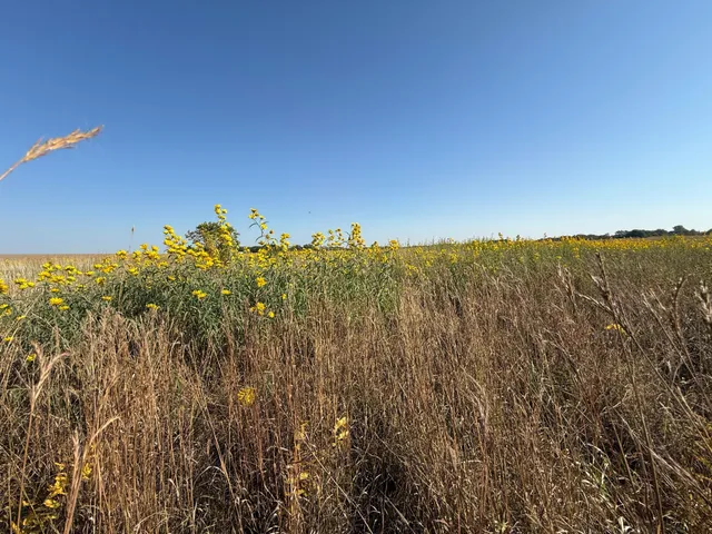 $260,000 | Tbd Tbd 44th Avenue Southeast, Blooming Prairie, MN 55917