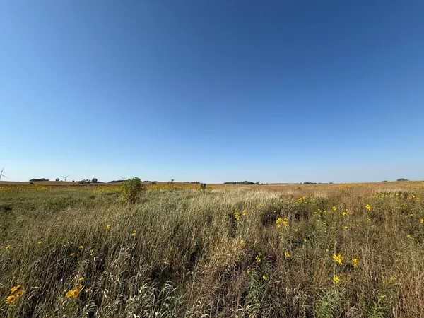 $260,000 | Tbd Tbd 44th Avenue Southeast, Blooming Prairie, MN 55917