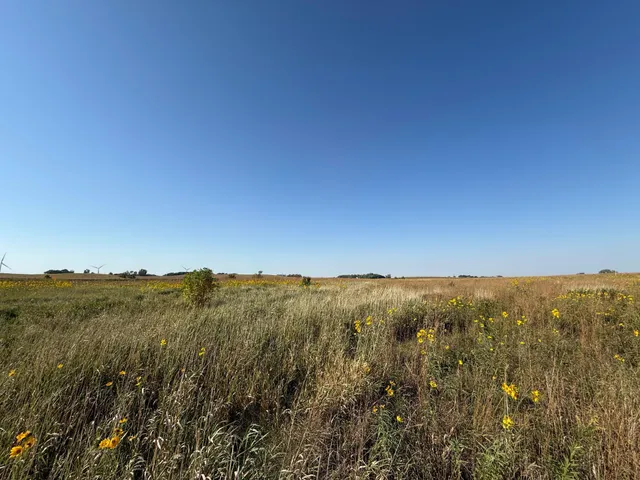 $260,000 | Tbd Tbd 44th Avenue Southeast, Blooming Prairie, MN 55917
