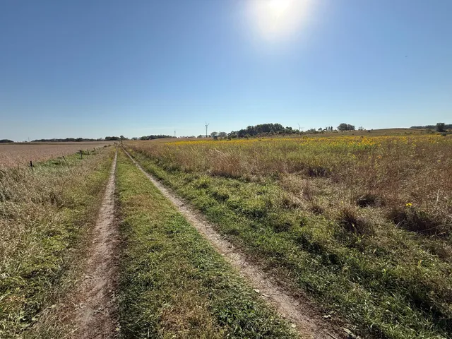 $260,000 | Tbd Tbd 44th Avenue Southeast, Blooming Prairie, MN 55917