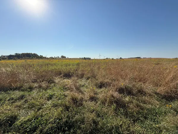$260,000 | Tbd Tbd 44th Avenue Southeast, Blooming Prairie, MN 55917