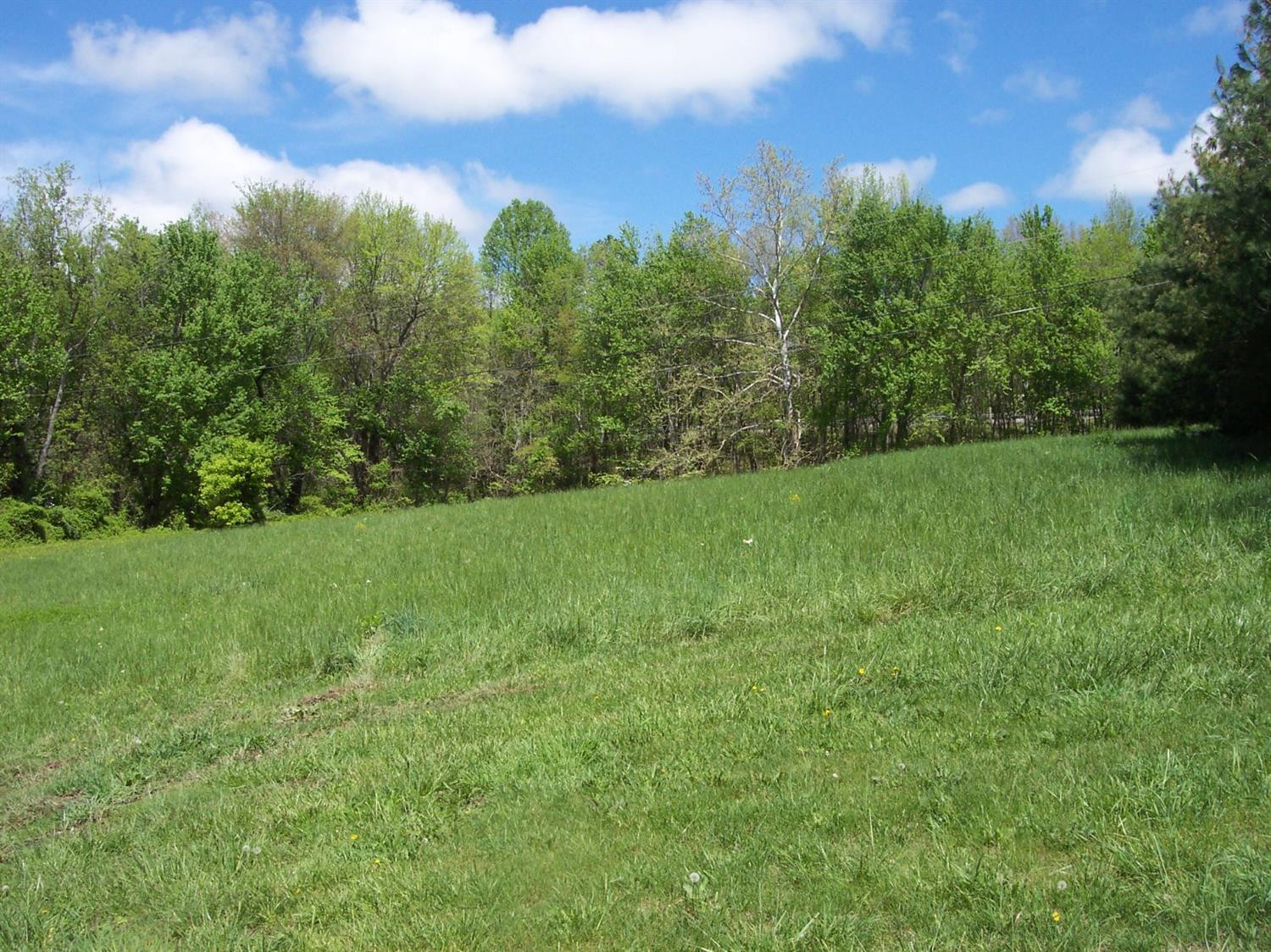 1116 East Laurel Road London, KY 40741 - Photo 6 of 12 Photo 6