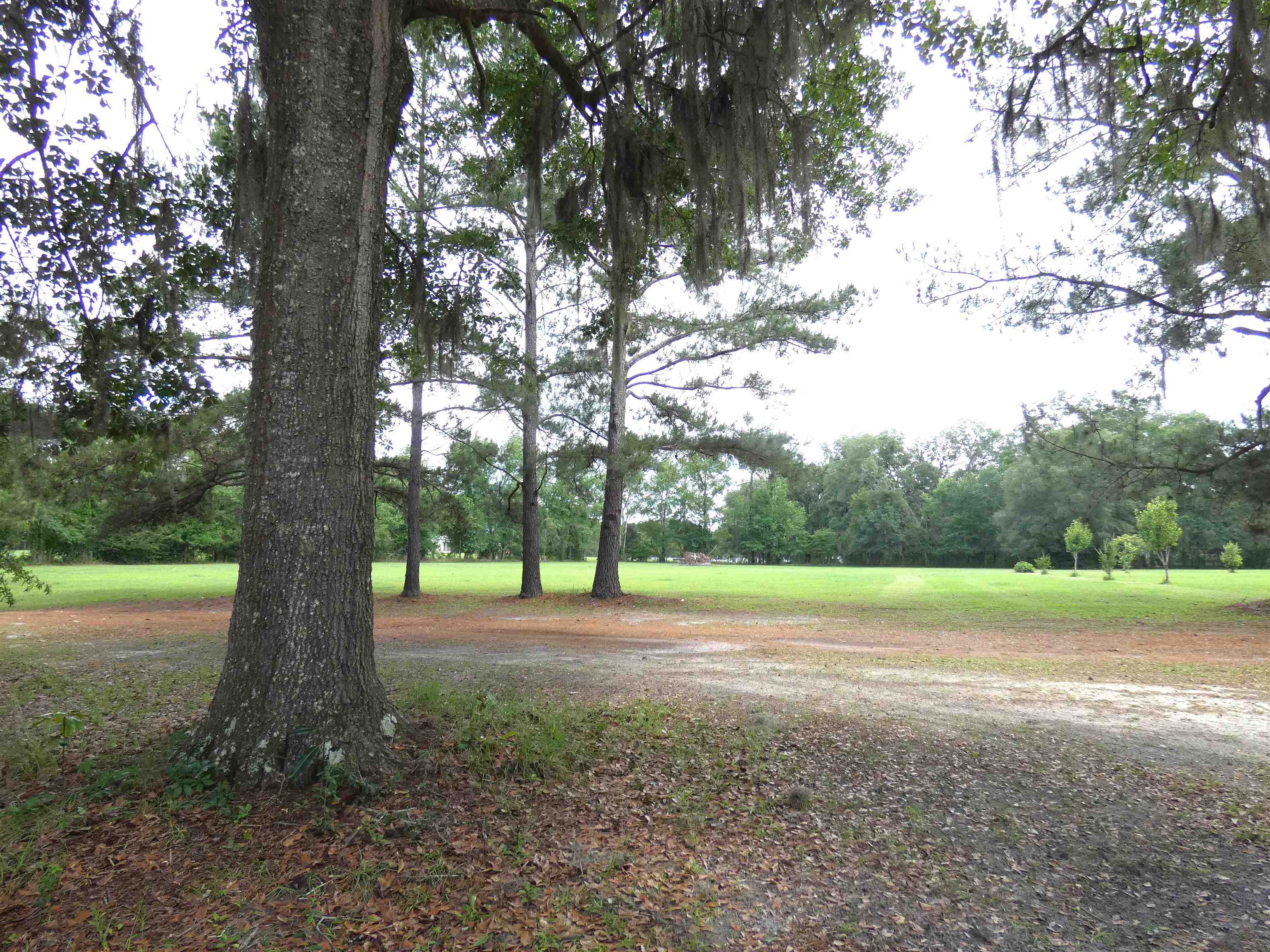 217 White House Road Monticello, FL 32344 - Photo 29 of 32 Gallery Image 29