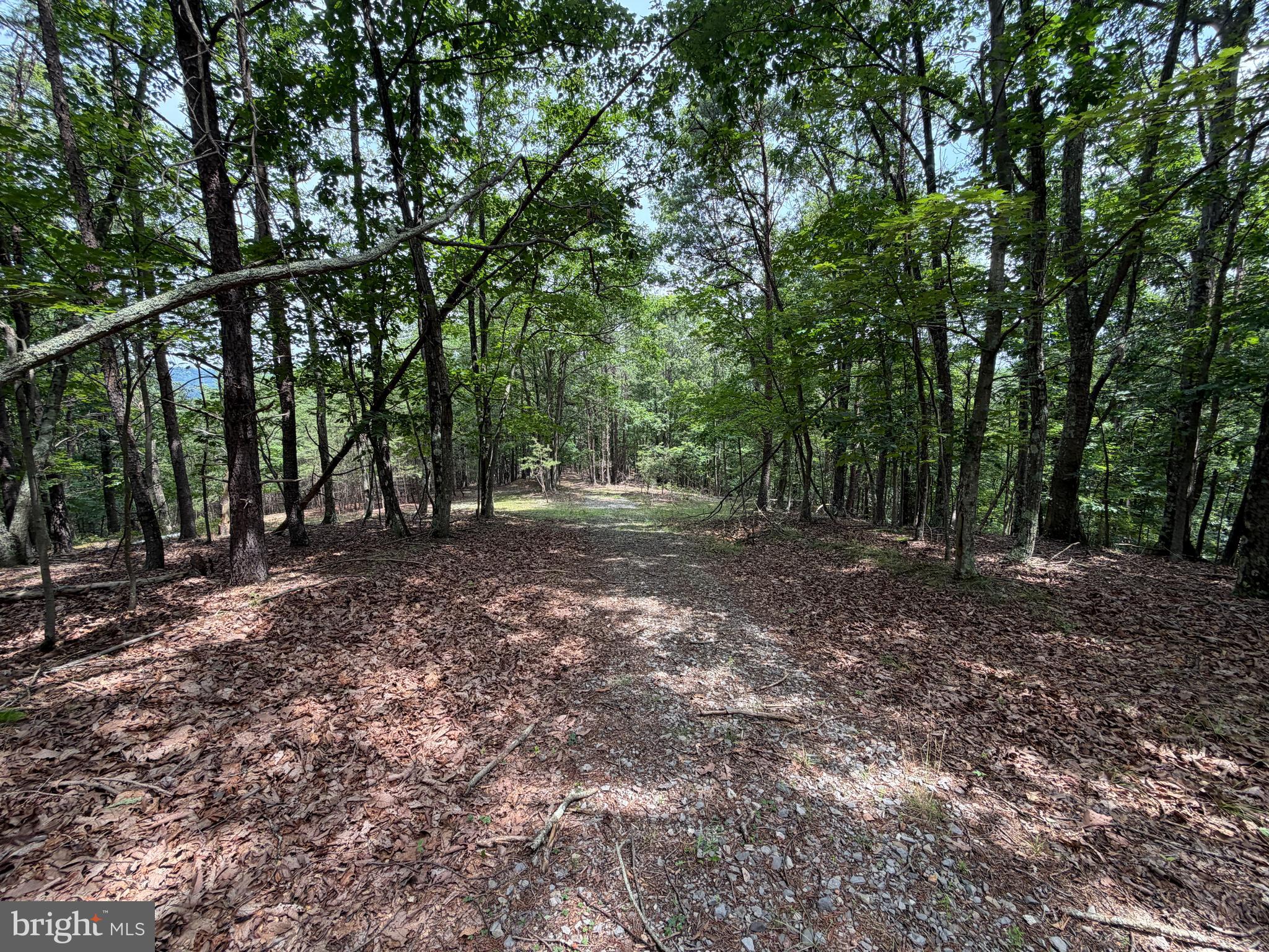 14 Shadow Knolls Springfield, WV 26763 - Photo 10 of 67