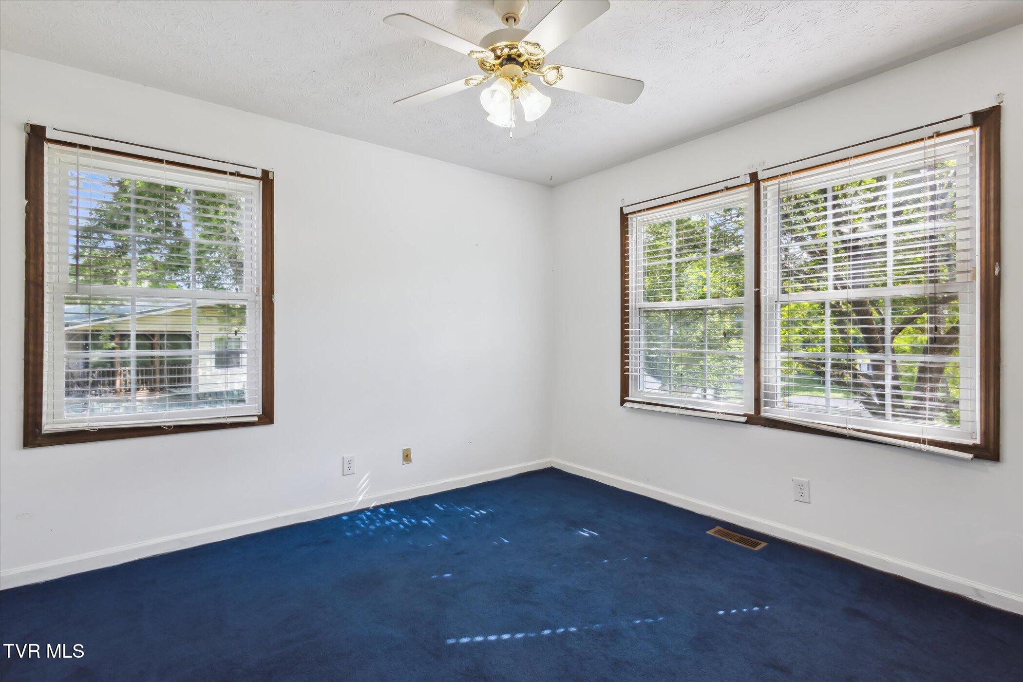 233 Lucy Road Kingsport, TN 37660 - Photo 21 of 40 24-233-Lucy-Rd-Kingsport-TN-37660-Window