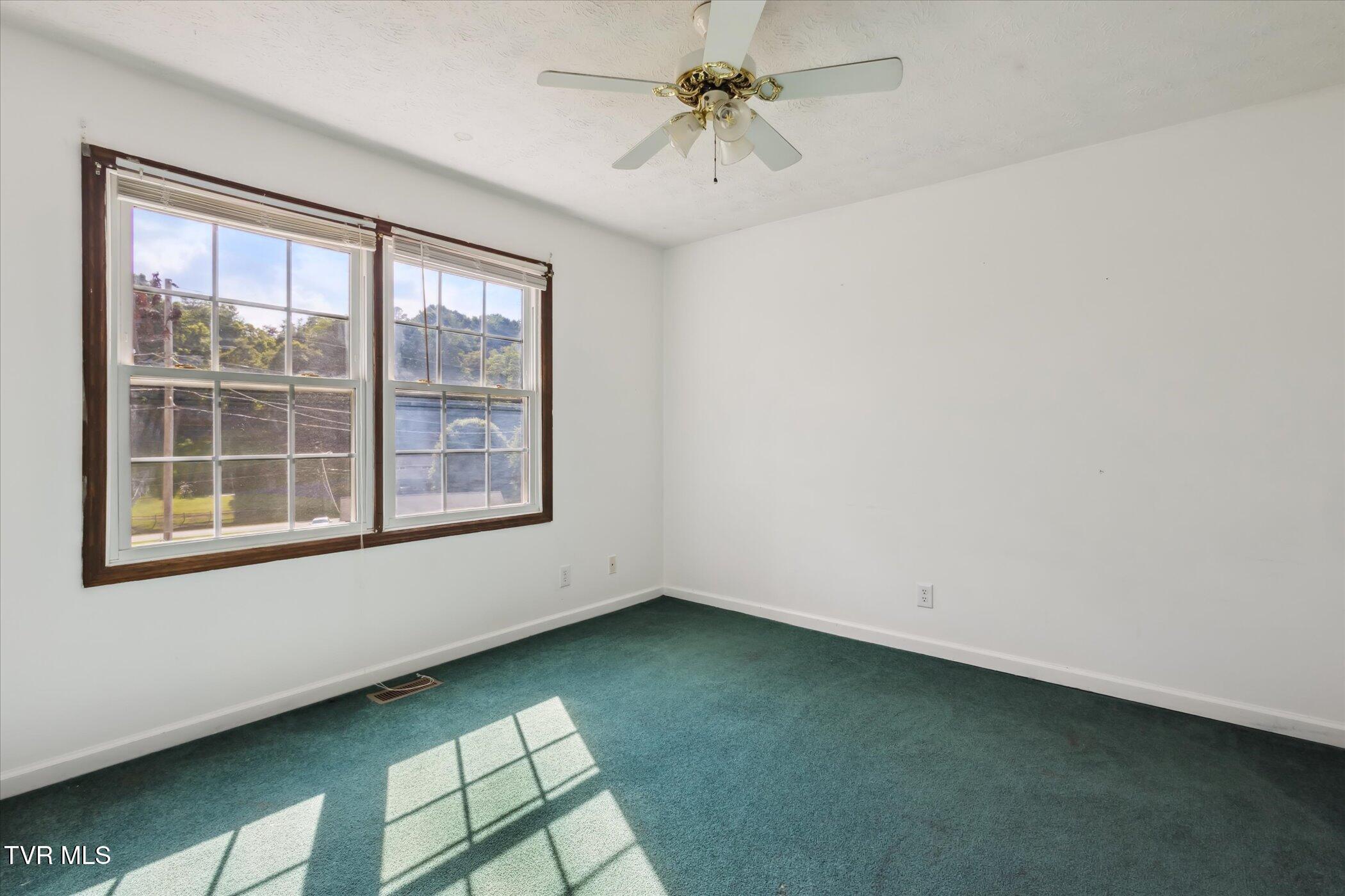 233 Lucy Road Kingsport, TN 37660 - Photo 23 of 40 26-233-Lucy-Rd-Kingsport-TN-37660-Window