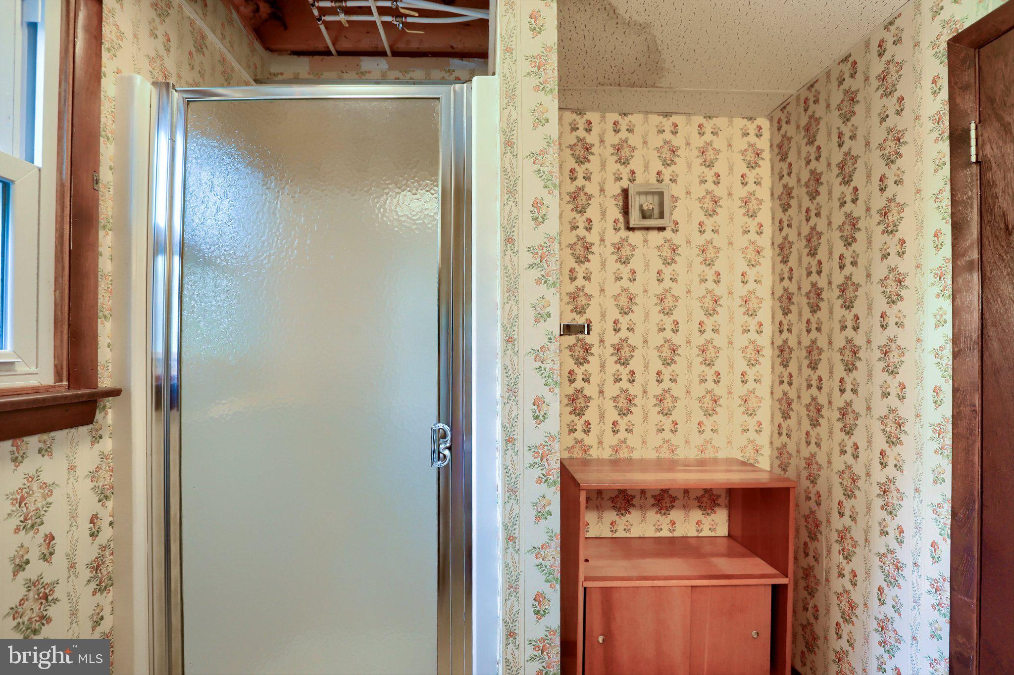7620 Spring Road New Bloomfield, PA 17068 - Photo 31 of 49 LOWER SHOWER