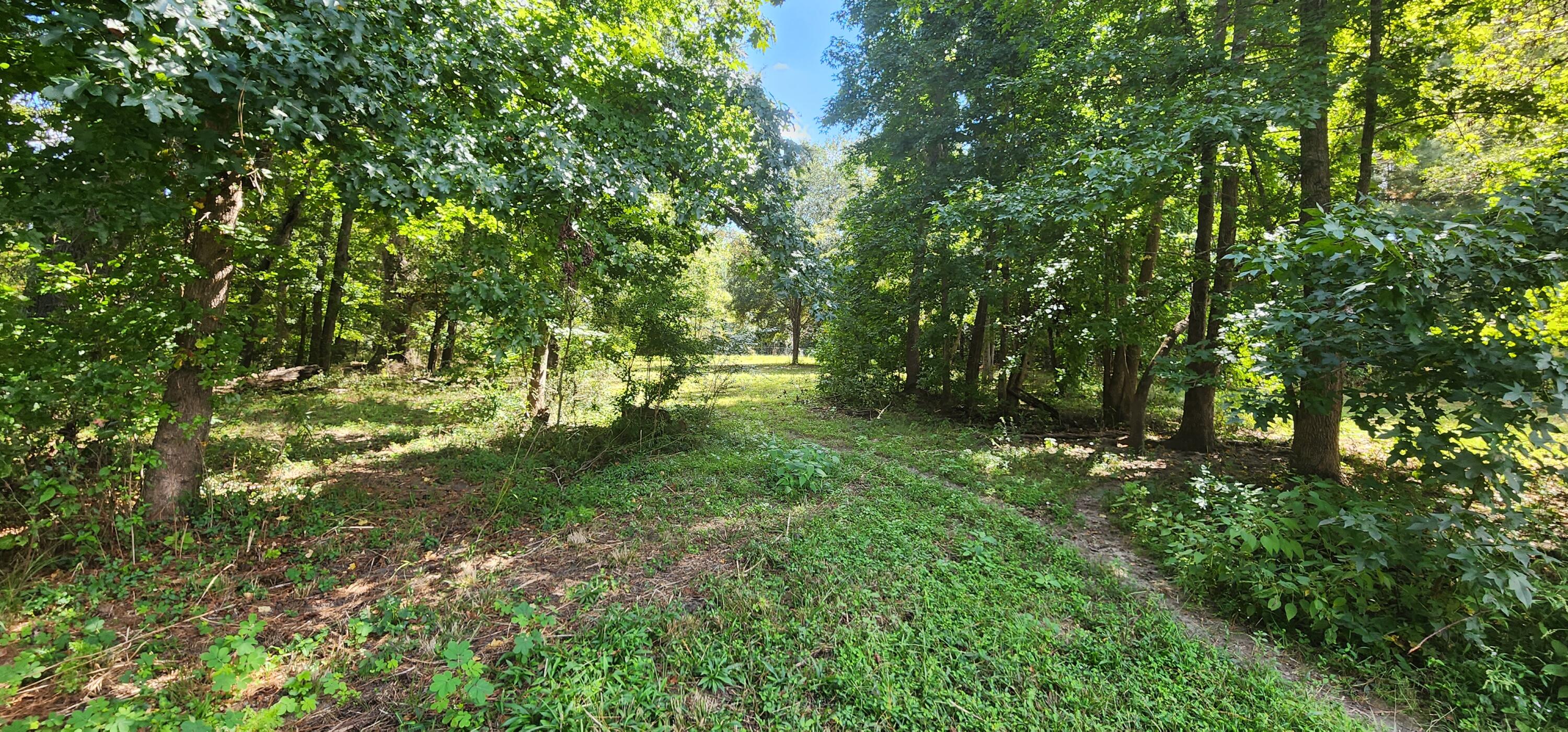 3476 Wesley Grove Road Cottageville, SC 29435 - Photo 35 of 43 20231007_130156