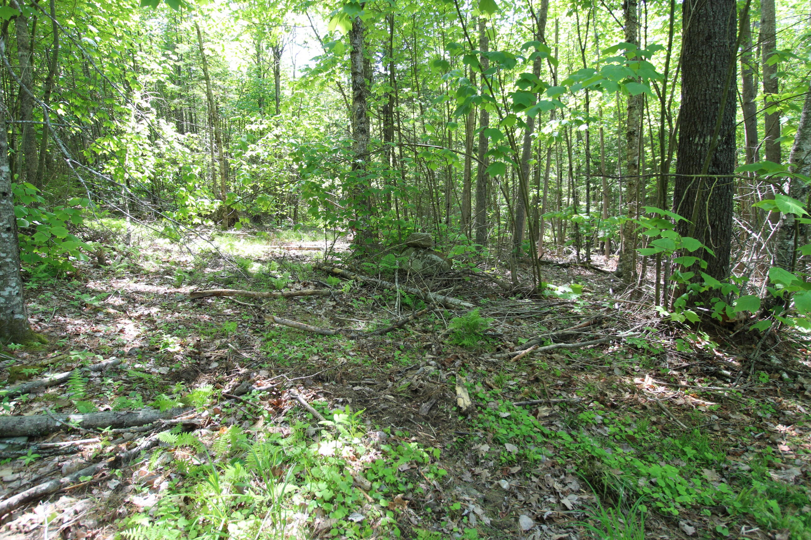 0 Heagan Mountain Road Prospect, ME 04981 - Photo 17 of 22 IMG_9711