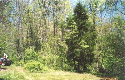7221 Old Lexington Spur Road Lancaster, KY 40444 - Photo 4 of 4 Photo 4