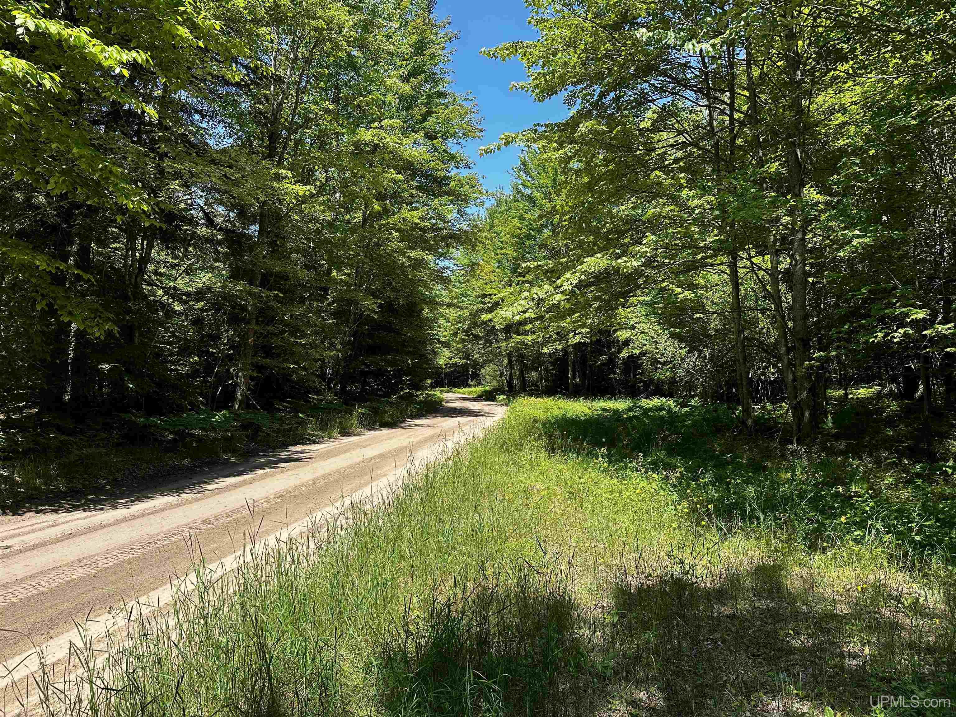 N986 Old Plank Road Wetmore, MI 49895 - Photo 23 of 27