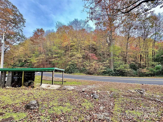 a view of a backyard with plants and wooden fence