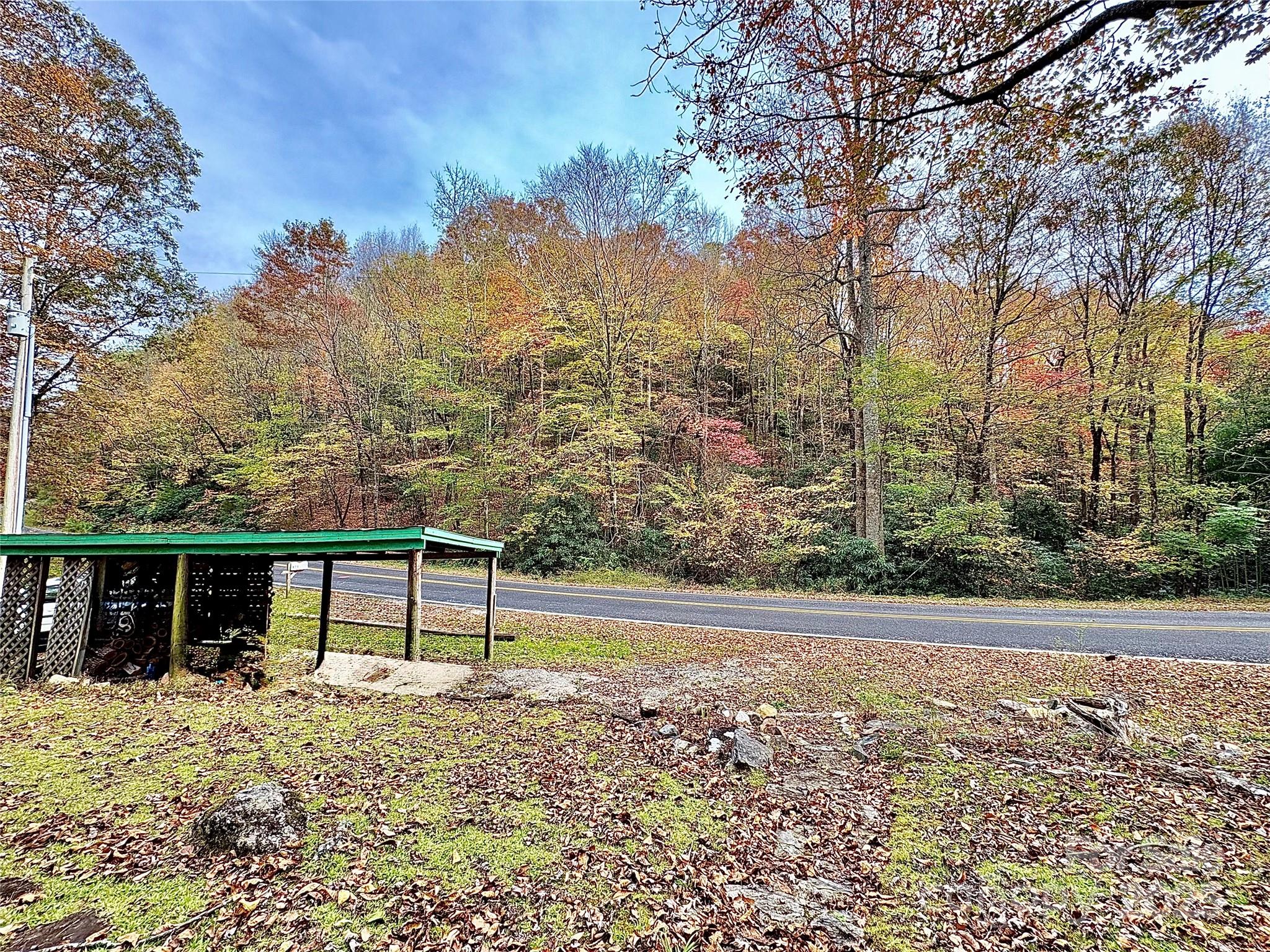 875 Carson Creek Road Brevard, NC 28712 - Photo 12 of 36