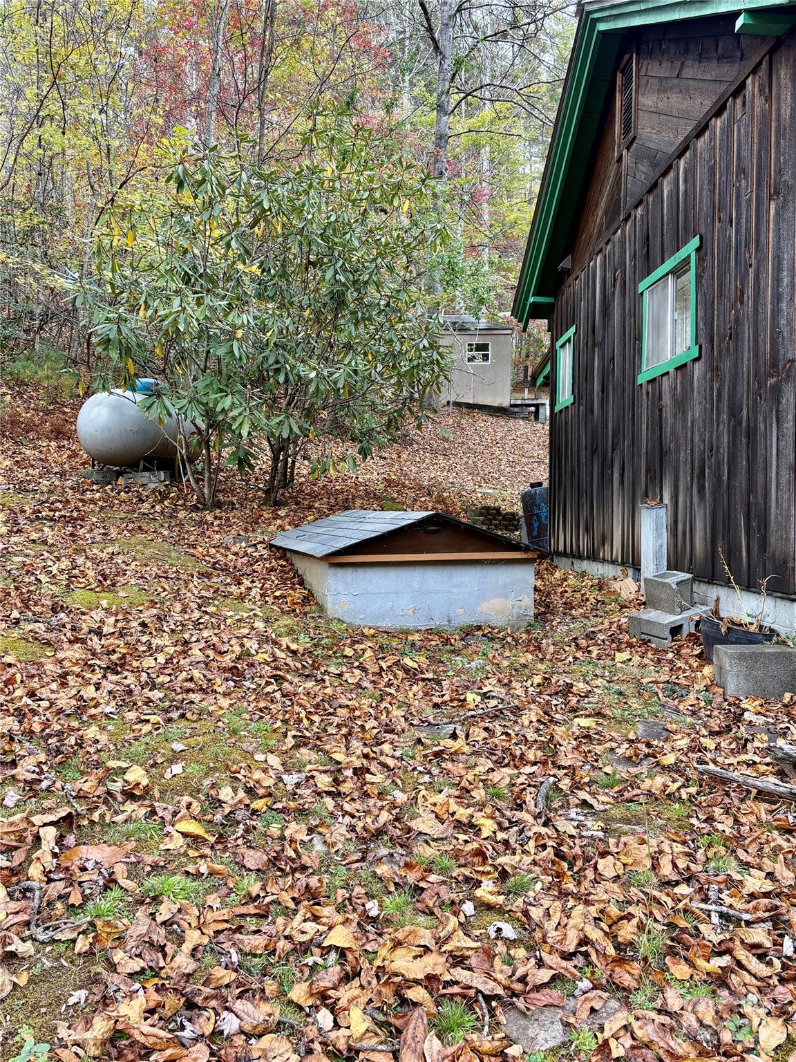 875 Carson Creek Road Brevard, NC 28712 - Photo 13 of 36