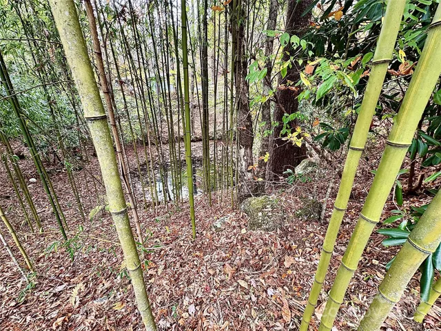 a view of front door